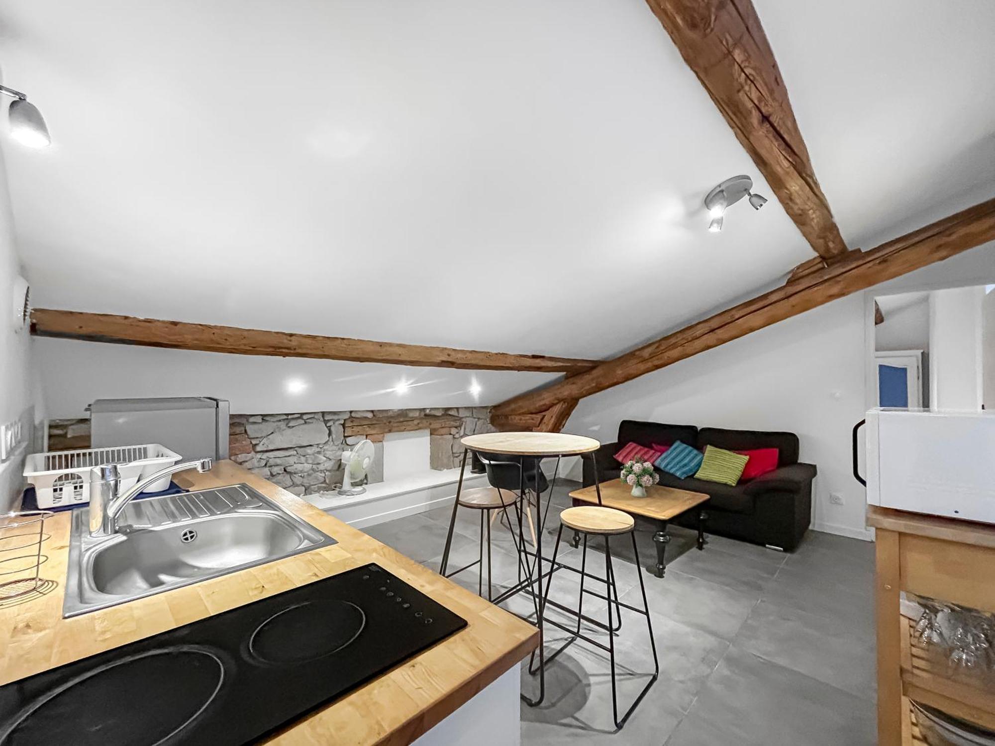 Apartment Charme Stephanois Centre Historique Et Stade G Guichard